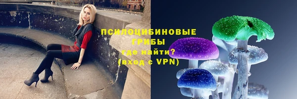 марки nbome Аркадак