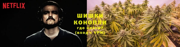 прущие грибы Арсеньев