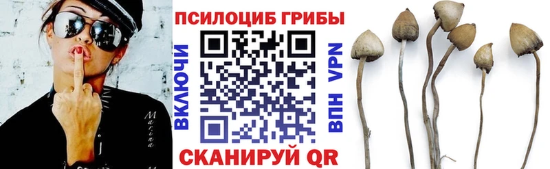 darknet как зайти  Кемерово  Псилоцибиновые грибы Cubensis  наркота 