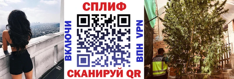 Шишки марихуана THC 21% наркотики Кемерово